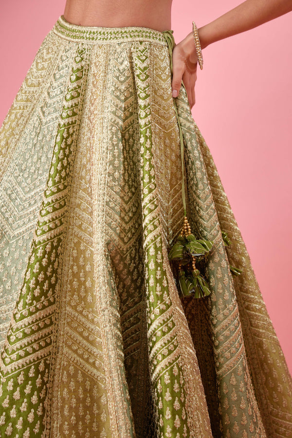 Olive Green Lehenga Set.