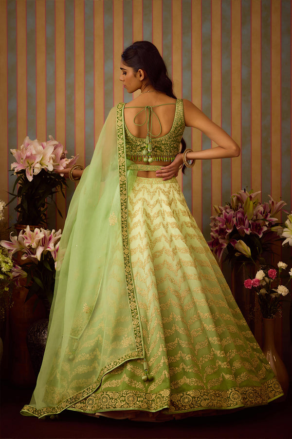 Meadow Green Lehenga Set.