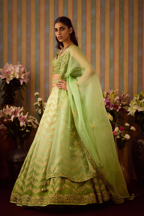 Meadow Green Lehenga Set.