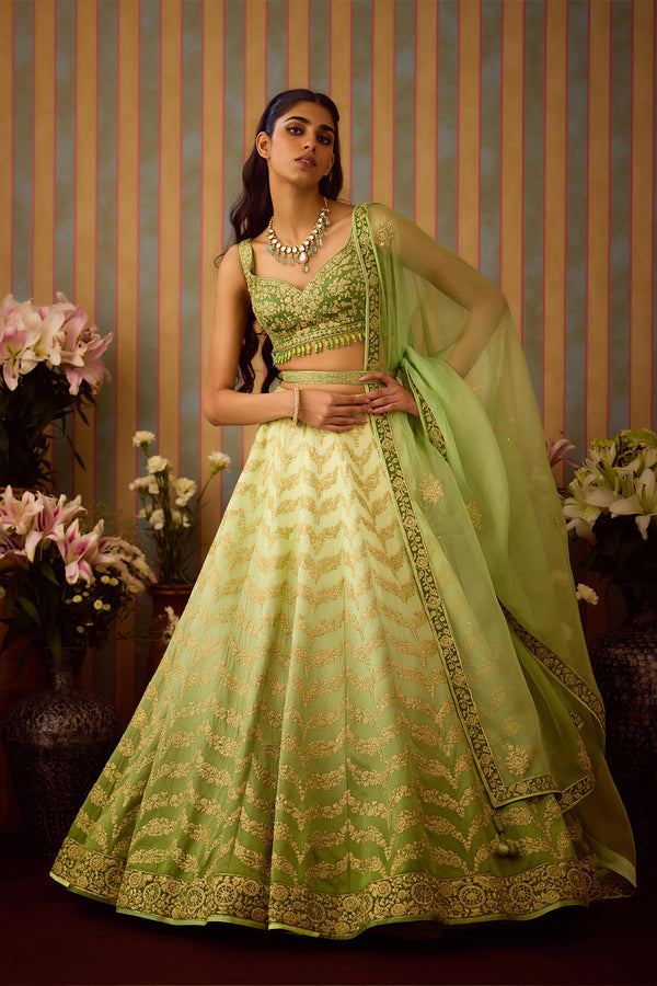 Meadow Green Lehenga Set.