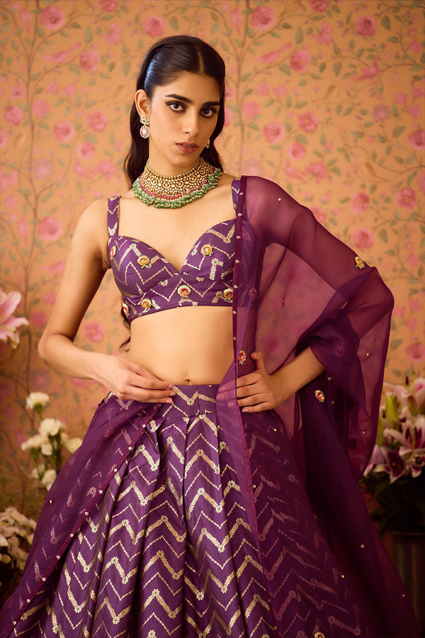 Purple Wine Lehenga Set.