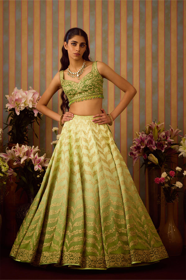 Meadow Green Lehenga Set.