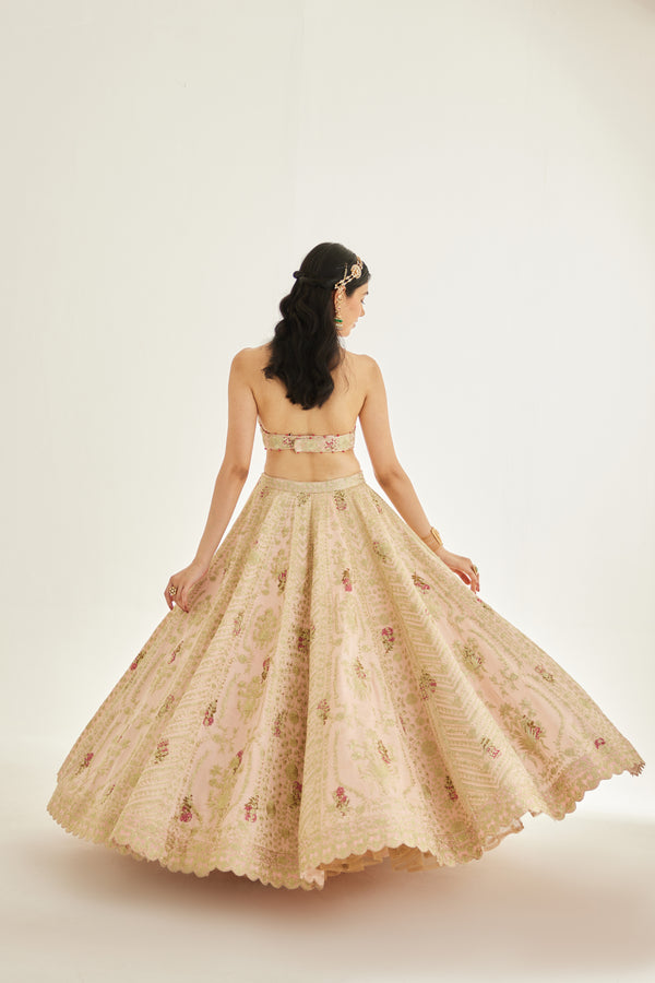 Shell Pink Lehenga Set.