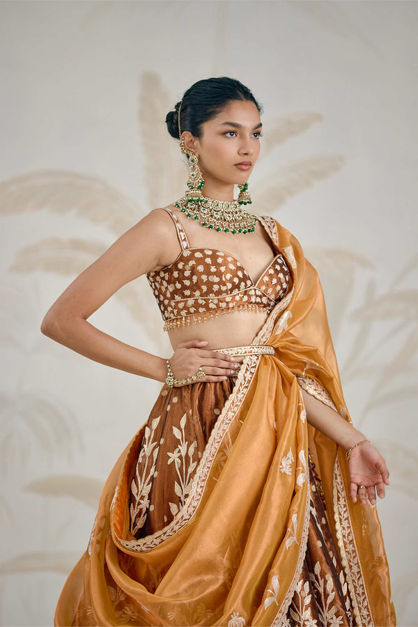 Coffee Brown Lehenga Set.
