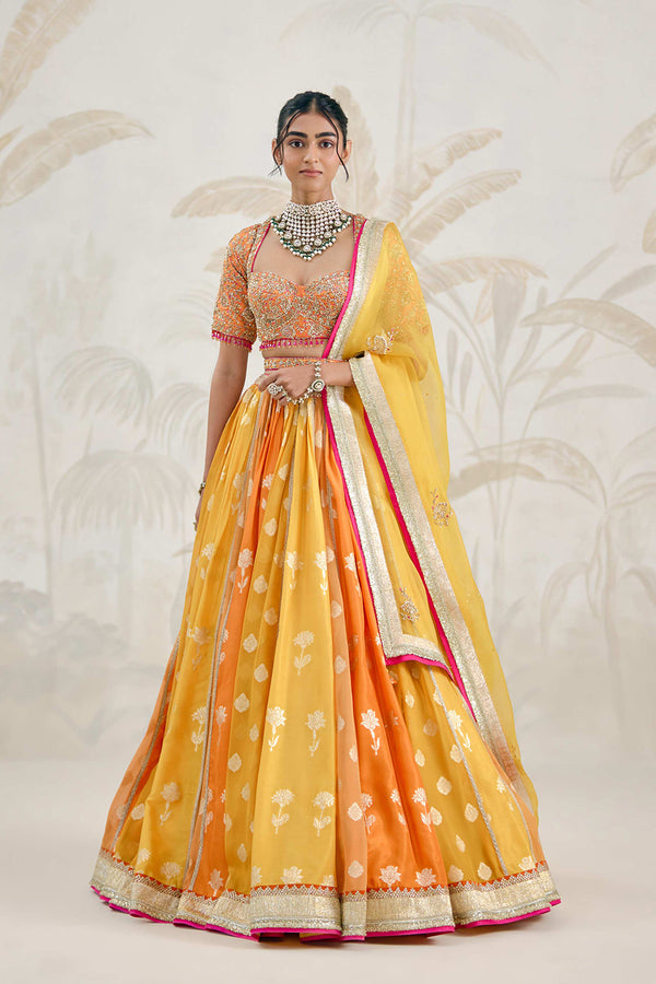 Multi-Coloured Lehenga Set.