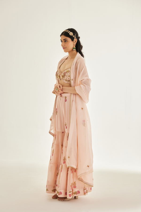 Shell Pink Sharara Set.