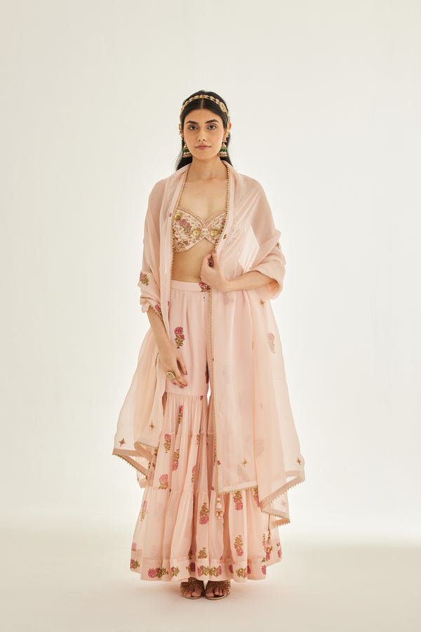 Shell Pink Sharara Set.