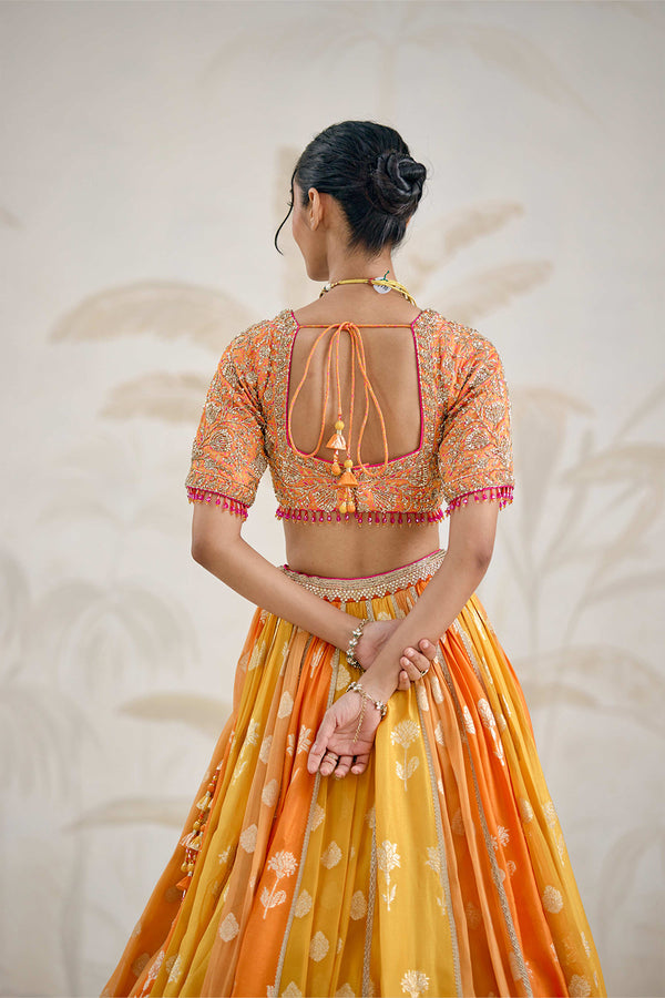 Multi-Coloured Lehenga Set.