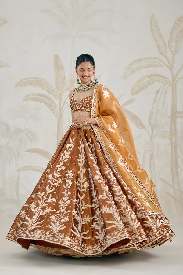 Coffee Brown Lehenga Set.