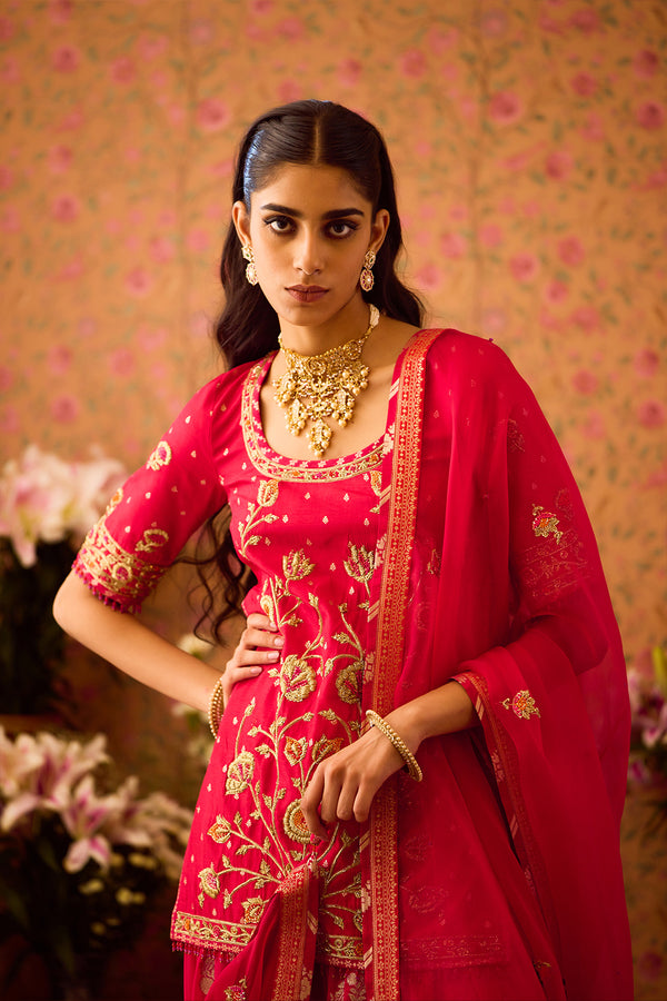 Scarlet Red Choli Lehenga Set.