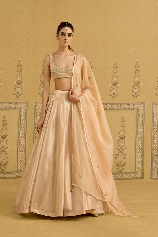Neutral Gold Lehenga Set.
