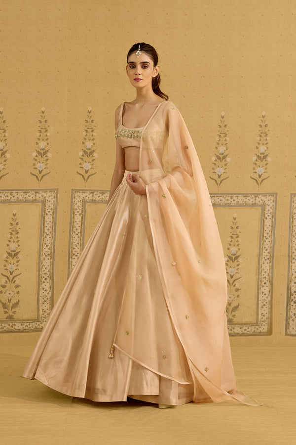 Neutral Gold Lehenga Set.