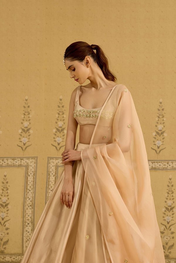 Neutral Gold Lehenga Set.
