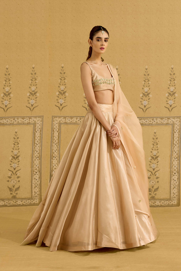 Neutral Gold Lehenga Set.