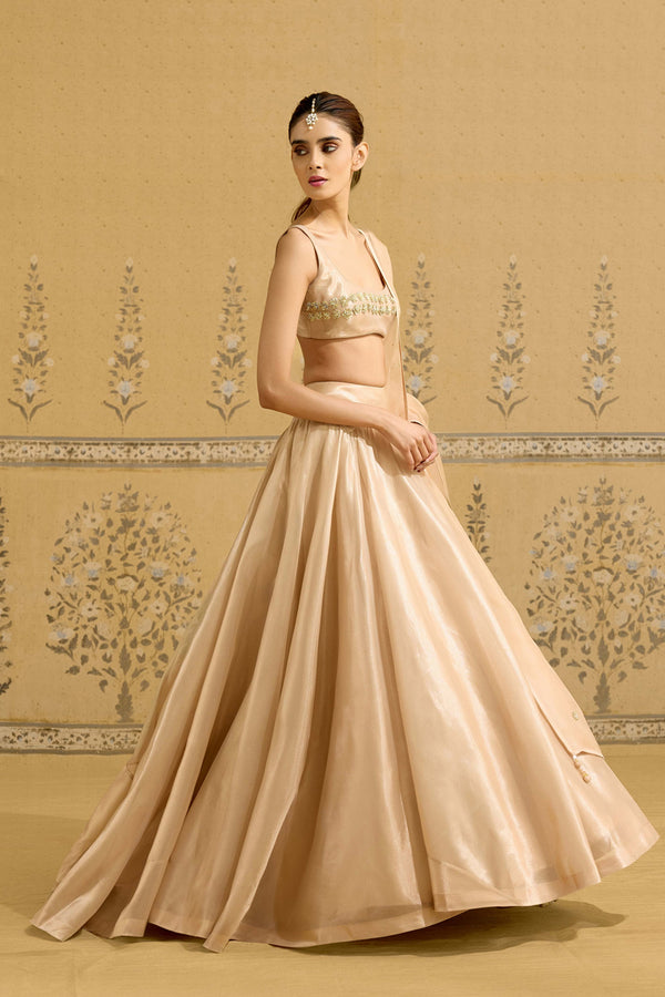 Neutral Gold Lehenga Set.