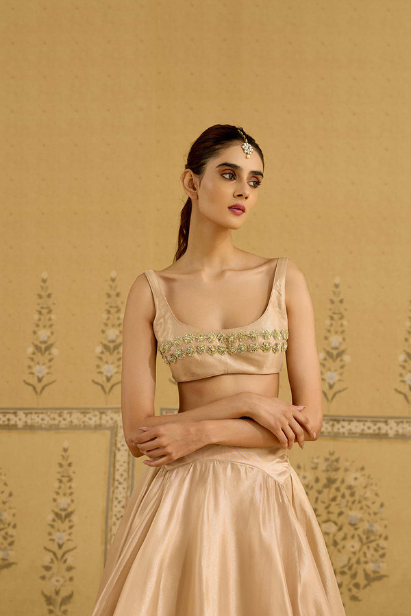 Neutral Gold Lehenga Set.