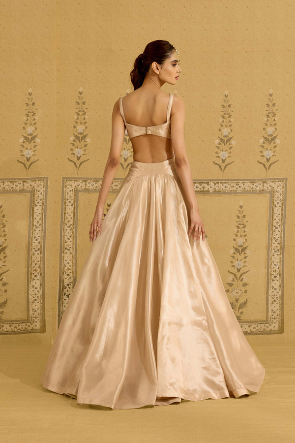 Neutral Gold Lehenga Set.