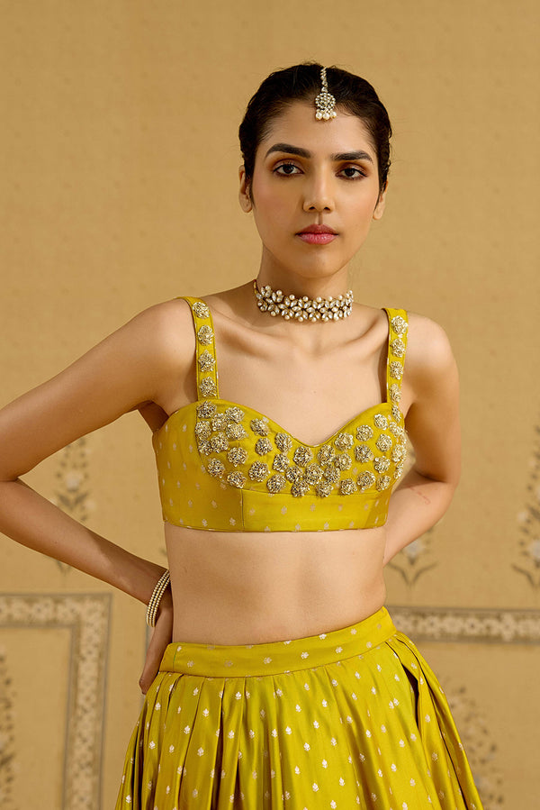 Apple Green Lehenga Set.