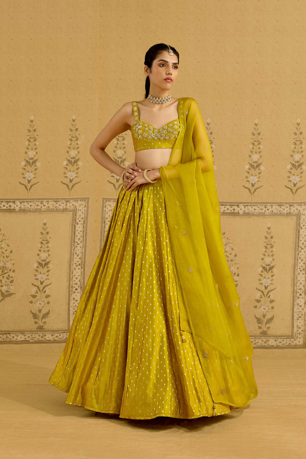 Apple Green Lehenga Set.