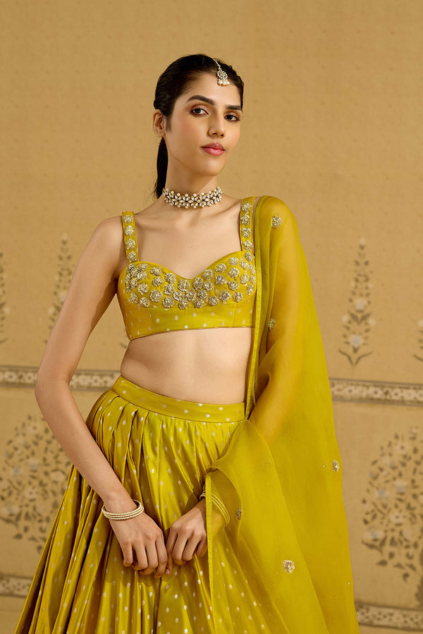 Apple Green Lehenga Set.