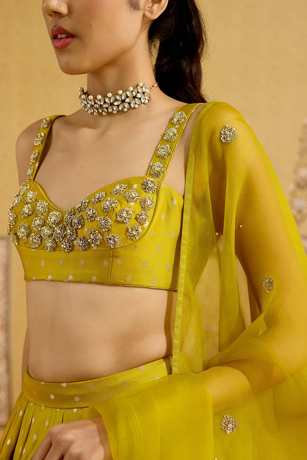 Apple Green Lehenga Set.