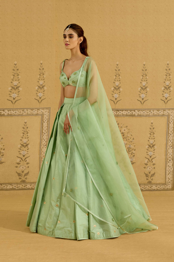 Spray Green Lehenga Set.