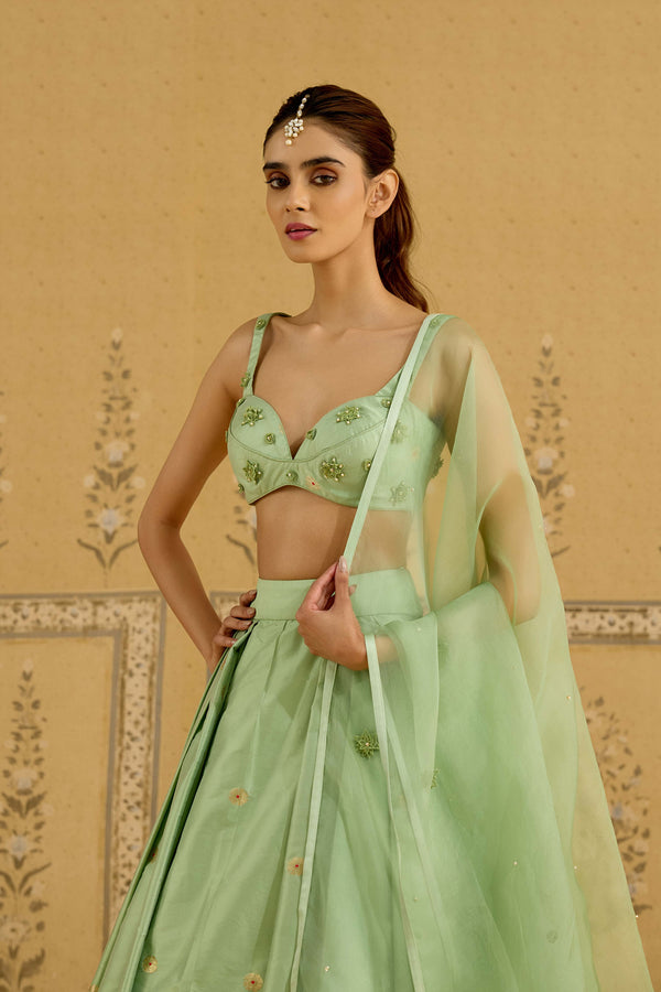 Spray Green Lehenga Set.