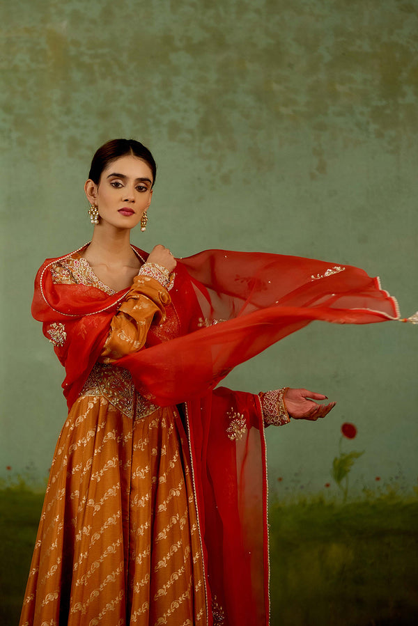 Golden Orange Anarkali Set.