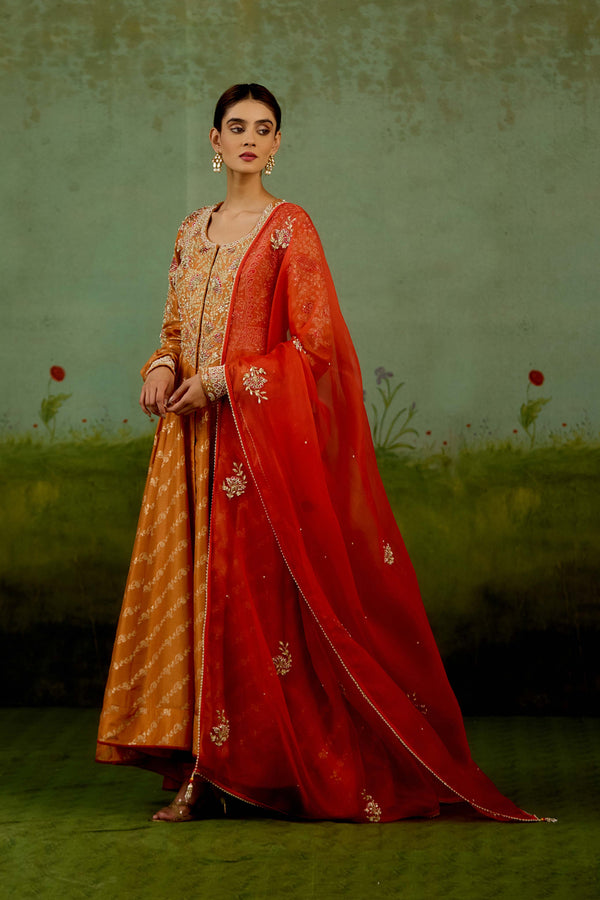Golden Orange Anarkali Set.