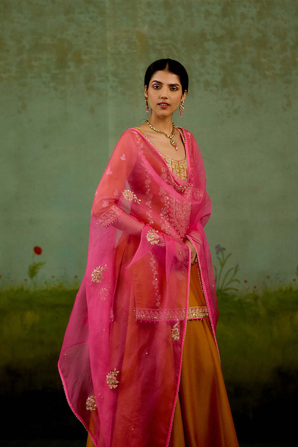 Rust Orange Sharara Set.