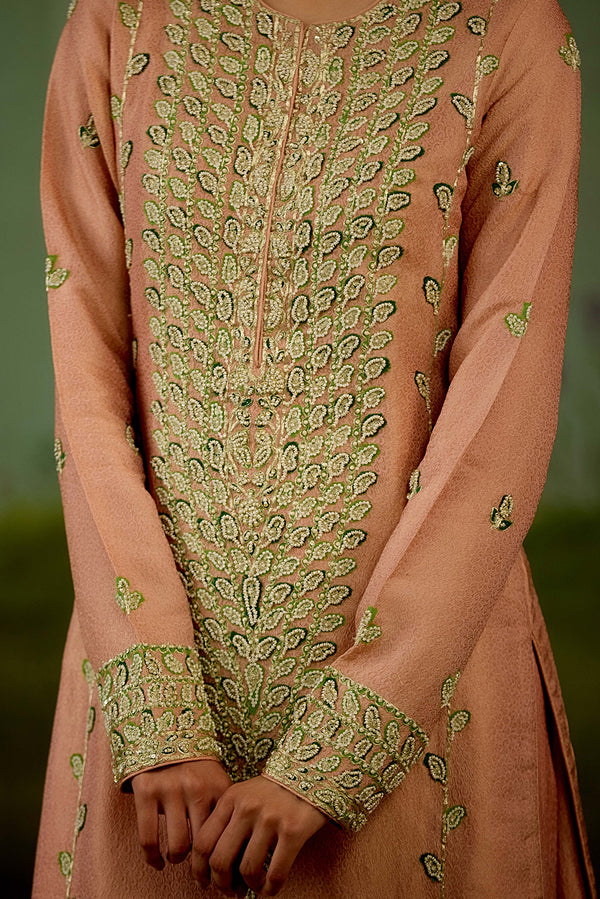 Shell Pink Sharara Set.