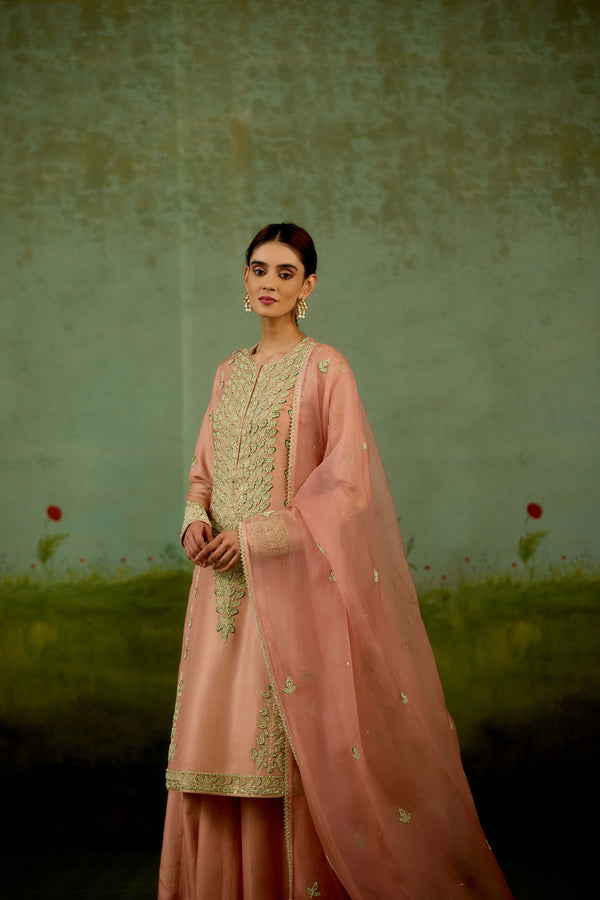 Shell Pink Sharara Set.