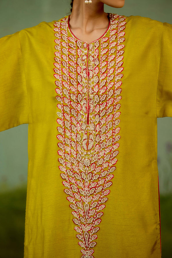 Warm Olive Green Kurta Set.