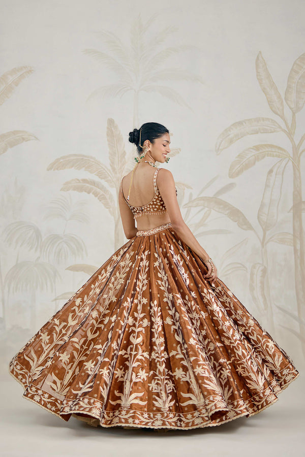 Coffee Brown Lehenga Set.