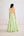Butterfly Green Lehenga Set.