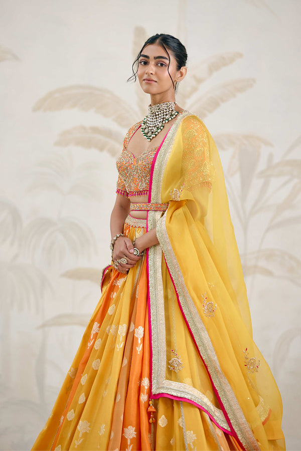 Multi-Coloured Lehenga Set.