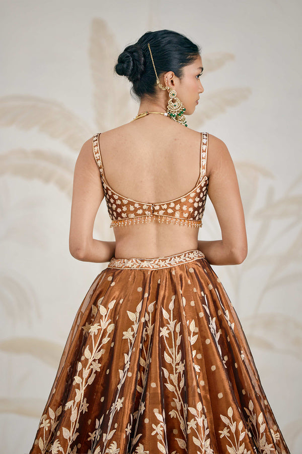 Coffee Brown Lehenga Set.
