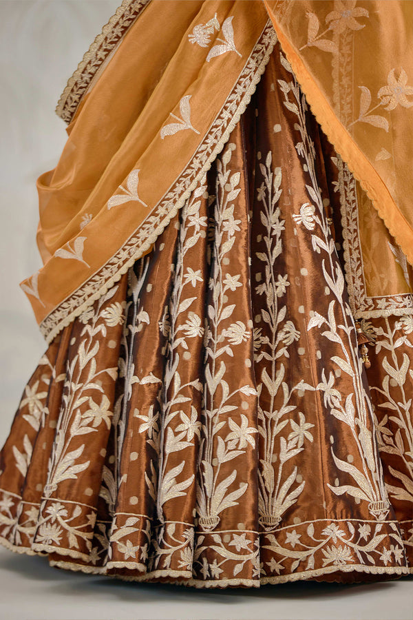 Coffee Brown Lehenga Set.