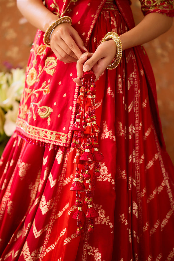 Raspberry Red Lehenga Set.