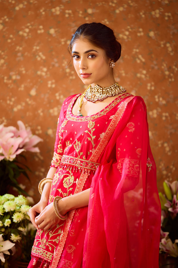 Raspberry Red Lehenga Set.