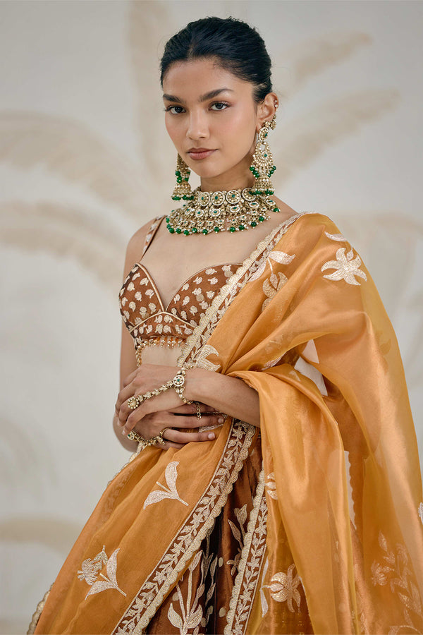 Coffee Brown Lehenga Set.