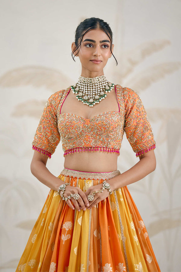 Multi-Coloured Lehenga Set.