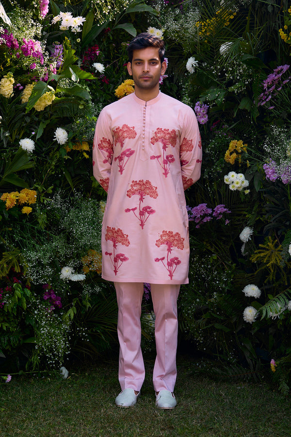 Cloud Pink Kurta Set