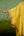 Yellow Kaftan set