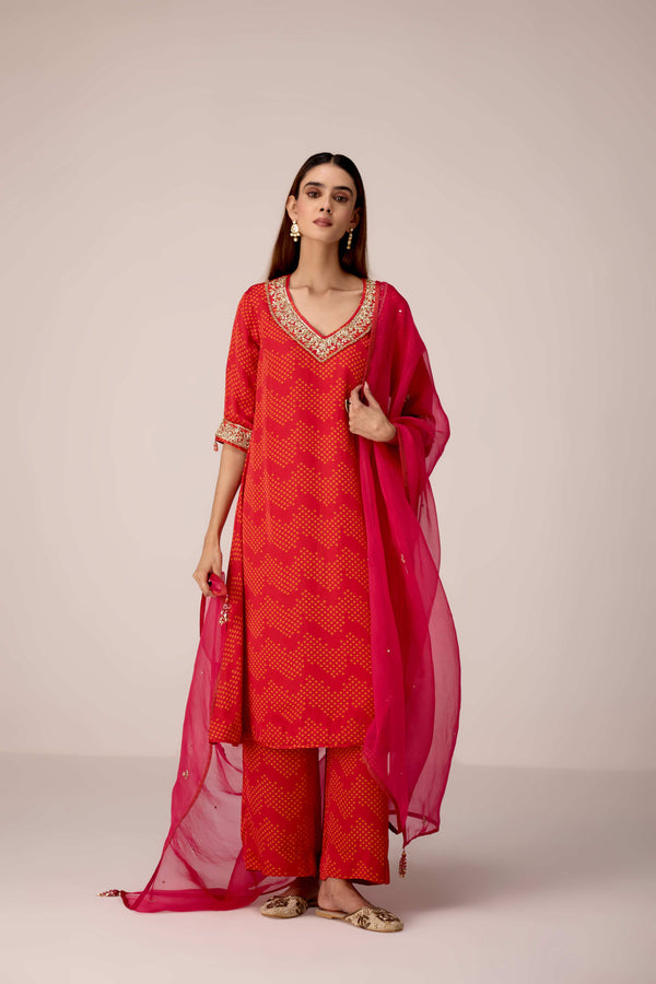 Maroon printed and embroidered kurta pants set