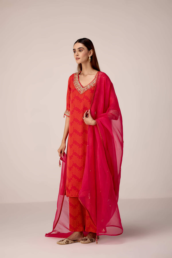 Maroon printed and embroidered kurta pants set