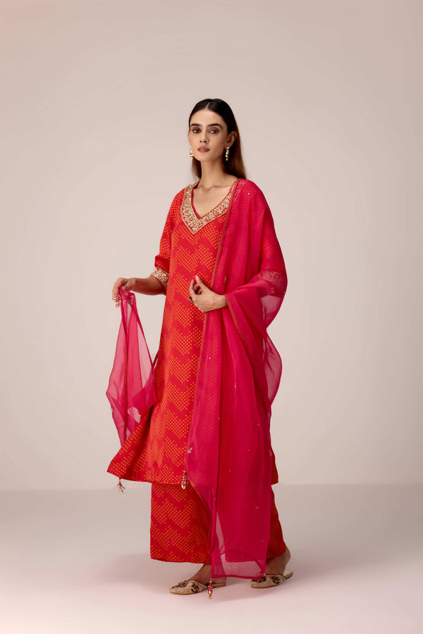 Maroon printed and embroidered kurta pants set