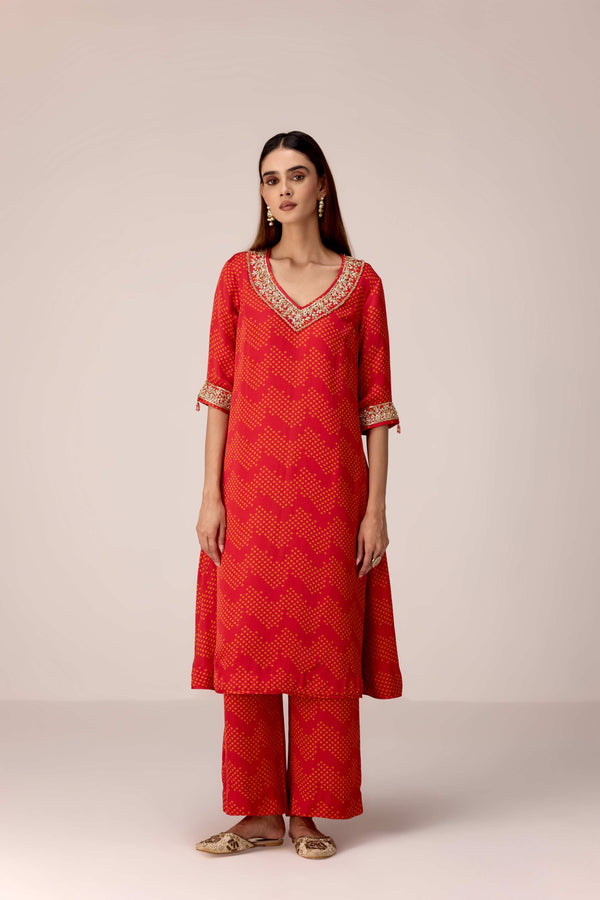 Maroon printed and embroidered kurta pants set