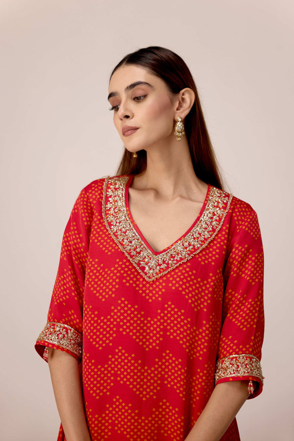 Maroon printed and embroidered kurta pants set