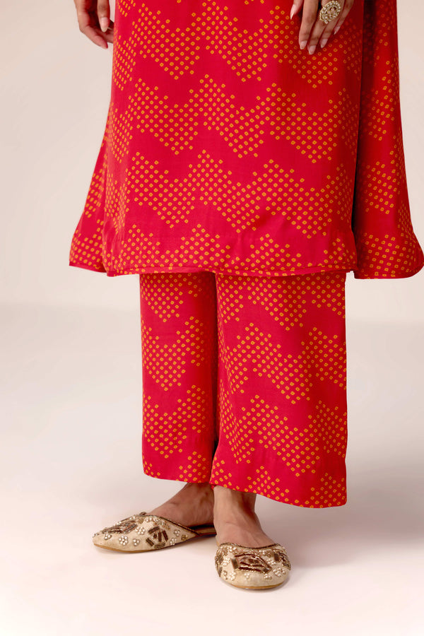 Maroon printed and embroidered kurta pants set